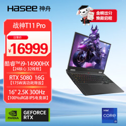 神舟 战神T11 Pro 16英寸游戏本笔记本电脑(i9-14900H