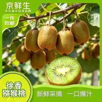 京鲜生 陕西周至徐香猕猴桃30粒 单果70-90g当季新鲜水果源头直发