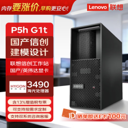 联想 开天P5h G1t国产信创商用办公台式主机图形工作站(海光3490/16G/51