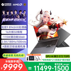 机械革命 蛟龙16Pro  旗舰5060游戏本16英寸锐龙9HX高刷