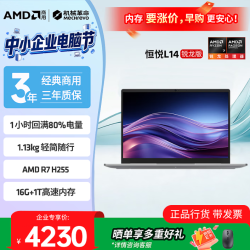 机械革命 恒悦L14 锐龙7 H255集显14英寸2.8K120Hz高色域屏AI创作办公轻薄笔记本三年质保16G+1T