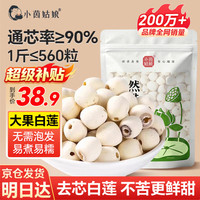 小茵姑娘 湘莲500g 湘潭去芯磨皮通芯白莲子干货 银耳百合莲子四神汤食材 去芯莲子500g