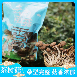 云南菌菇茶树菇90g/袋*2袋