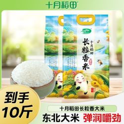十月稻田 长粒香米2.5kg*2袋东北正宗软糯香甜蒸饭熬粥一年一季