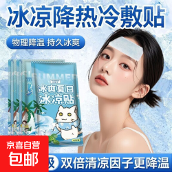冰凉贴清新不犯困酷暑降温学生夏季解暑神器手机散热冰贴降温 冰凉贴/2片 持久降温