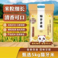 京东 猫牙米贡米100%新米现磨现发南方大米猫牙大米丝苗米 猫牙贡米10斤