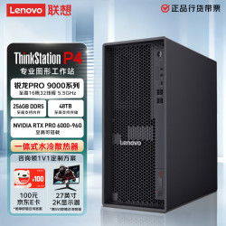联想 P4 AI大模型本地部署图形工作站台式电脑主机（AMD9965X3D 64G 1Tssd RTX 5060ti-16G）