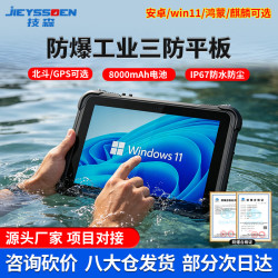 技森10.1英寸三防平板国产自营防爆手持三防平板windows长续航安卓工业平板5g可定制 N6000/8G+256G