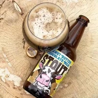 迷失海岸 巧克力牛奶花生酱世涛啤酒355ml*6瓶美国进口礼盒装七夕送礼