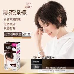 花王Liese莉婕泡泡染发剂遮白发