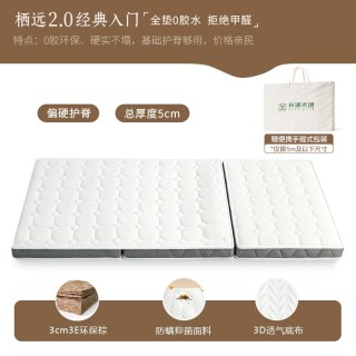 轩源木语 学生宿舍专用床垫天然乳胶黄麻单人租房薄垫床褥子榻榻米