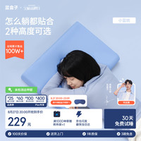 蓝盒子 小蓝枕N2记忆棉枕头枕芯 10cm 深睡护颈枕