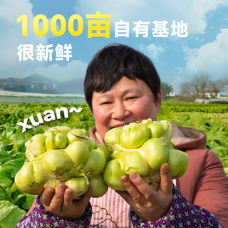 吉香居 榨菜真芯 0添加脂肪减盐 135g 泡菜咸菜