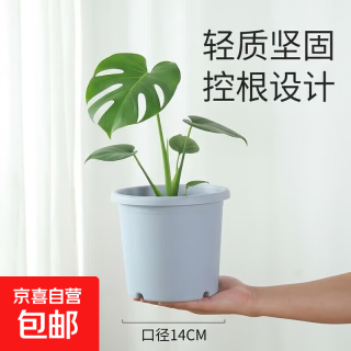 花盆绿植盆栽四季花盆新款控根透气加厚月季绣球树脂塑料大加仑盆 浅灰色 四季盆1个盆无托盘