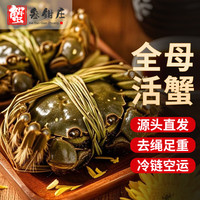 蟹叁钳庄 大闸蟹去绳足重2.7-3.0两 8只鲜活六月黄鲜活螃蟹水产礼盒源头直发 六月黄2.7-3.0两 8只