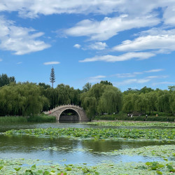 龙潭西湖公园-1小时皮划艇票