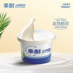 幸耐 原味奶皮子