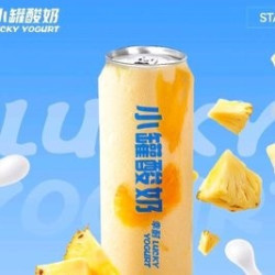 幸耐 更丝滑·海盐凤梨酸奶雪酪