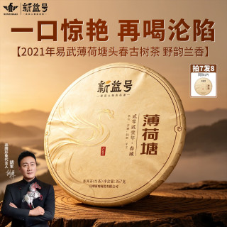 新益号 2021春茶古500易武薄荷塘古树普洱茶生饼茶叶云南七子茶饼