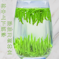 2026新茶头彩雀舌/翠芽味浓T1款100g/250g/500g春茶绿茶