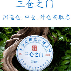景东无量山迤仓2021年三仓之门168克饱满生茶