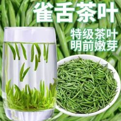 贵州毛尖2026特级雀舌绿茶新茶贵州高山茶湄潭芽茶明前茶叶