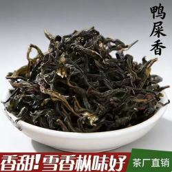 鸭屎香凤凰单枞茶黄枝香茶单丛茶凤凰单丛茶潮州功夫茶