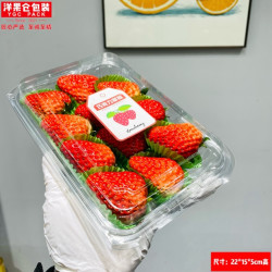 洋果仓·400A带盖塑料水果包装盒