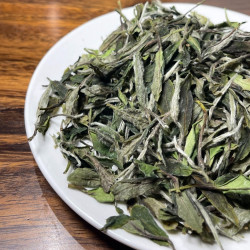花香白牡丹 福鼎太姥山（华茶一号）白茶 生态茶叶