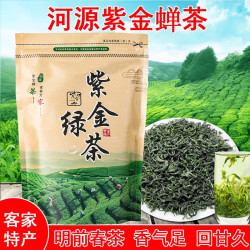 河源紫金蜜香高山绿茶农家茶客家炒青绿茶叶炒米香板栗香醇厚回甘