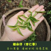 2026新春锯朵仔凤凰单丛茶持久清香型香味滋味花果香