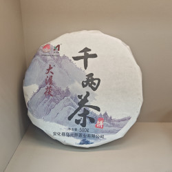 大渥茯 安化黑茶春季原料 2005 年千两饼 500 克 2026 年包装出厂