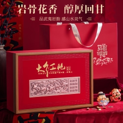 武夷山大红袍 茶叶礼盒正岩新茶肉桂浓香乌龙茶礼品茶叶礼盒送长辈