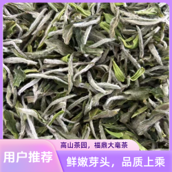 福鼎白茶白牡丹2025年头采袋装500g