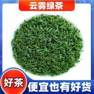 正宗高山云雾绿茶2026新茶叶春茶日照充足毛尖浓香型