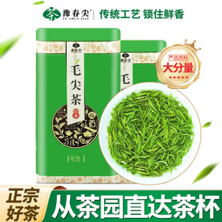 豫春 尖2026新茶明前信阳毛尖手工高山绿茶茶叶送礼自喝河南产