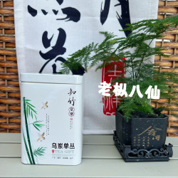 中熟严选香韵足炭焙工艺凤凰单丛乌龙茶正宗潮州罐装