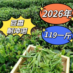（119）2026年新茶。浓香型，豆香味