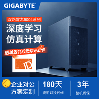 技嘉 双路霄龙4代科学CFD仿真计算/塔式主机 双路9124 3.0G 32核心64线程 32G内存/1T固态/集显