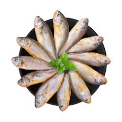 鲜到鲜得 海捕小黄鱼 450g 16-18条