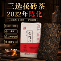 高马二溪 安化黑茶金花茯砖 非遗茶 陈博士三选900克菌香