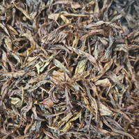 大渥茯 安化黑茶春季原料 2025 年黄金芽散茶500克一袋