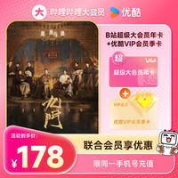 bilibili 哔哩哔哩 超级大会员年卡+优酷会员3个月季卡 支持电视端