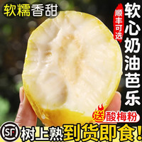 移动端：小黄鲜果 软糯奶油芭乐新鲜水果当季软心番石榴鸡屎果白心芭乐现摘整箱包邮