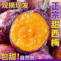 沐小七果蔬 新鲜精品西梅单果15-18g 5斤装 净4.5斤