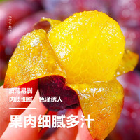 薏品甄鲜 蓝蜜西梅 单果20g+ 4.5斤 新鲜水果