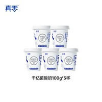 真零 酸奶无蔗糖0乳糖0蔗糖早餐低温酸奶组合装