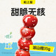 粒上皇 4.5元冰山楂35g