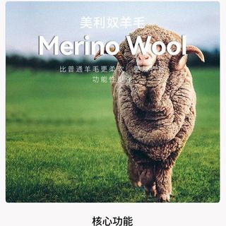 雨林地带 美利奴羊毛速干衣 樱花粉 M码 长袖