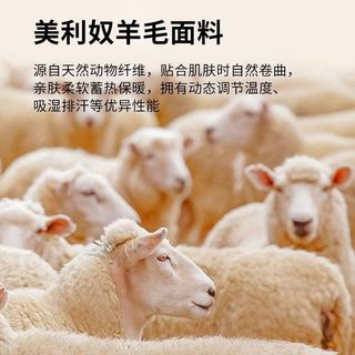 雨林地带 美利奴羊毛速干衣 维多利亚蓝 M 户外T恤